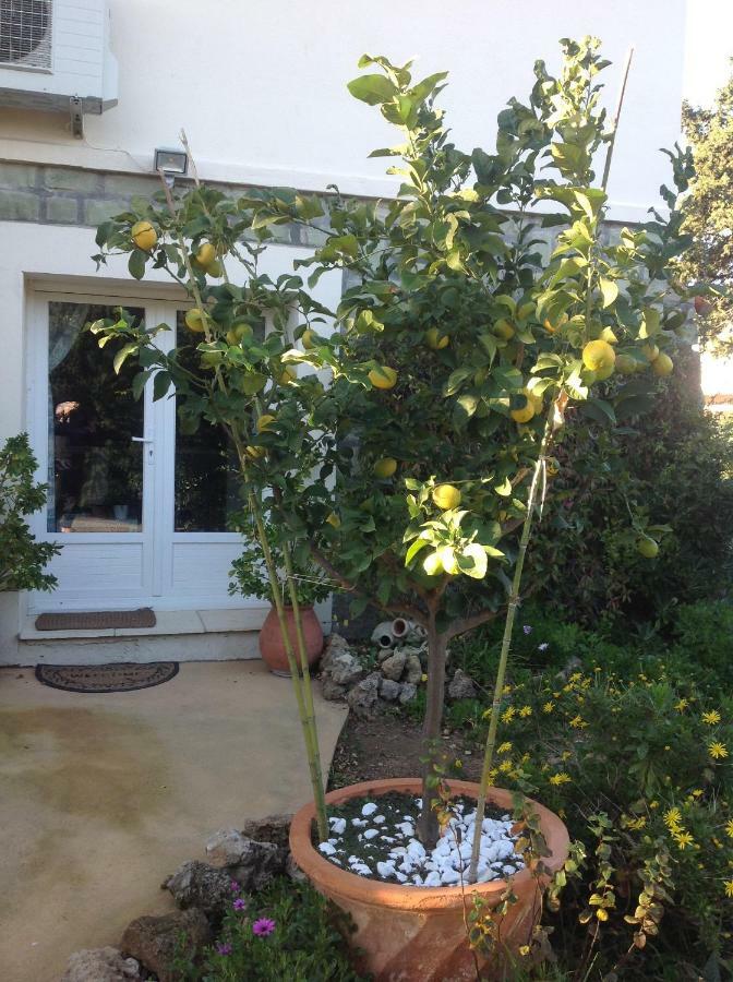 Rez De Villa Pebrier Fréjus المظهر الخارجي الصورة